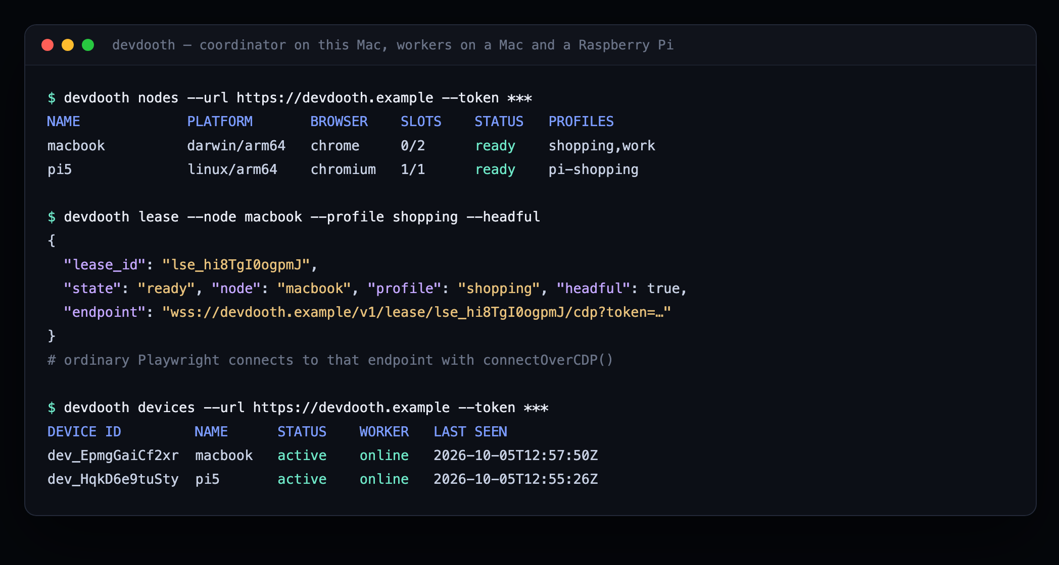 Terminal showing devdooth nodes, lease, and devices output.
